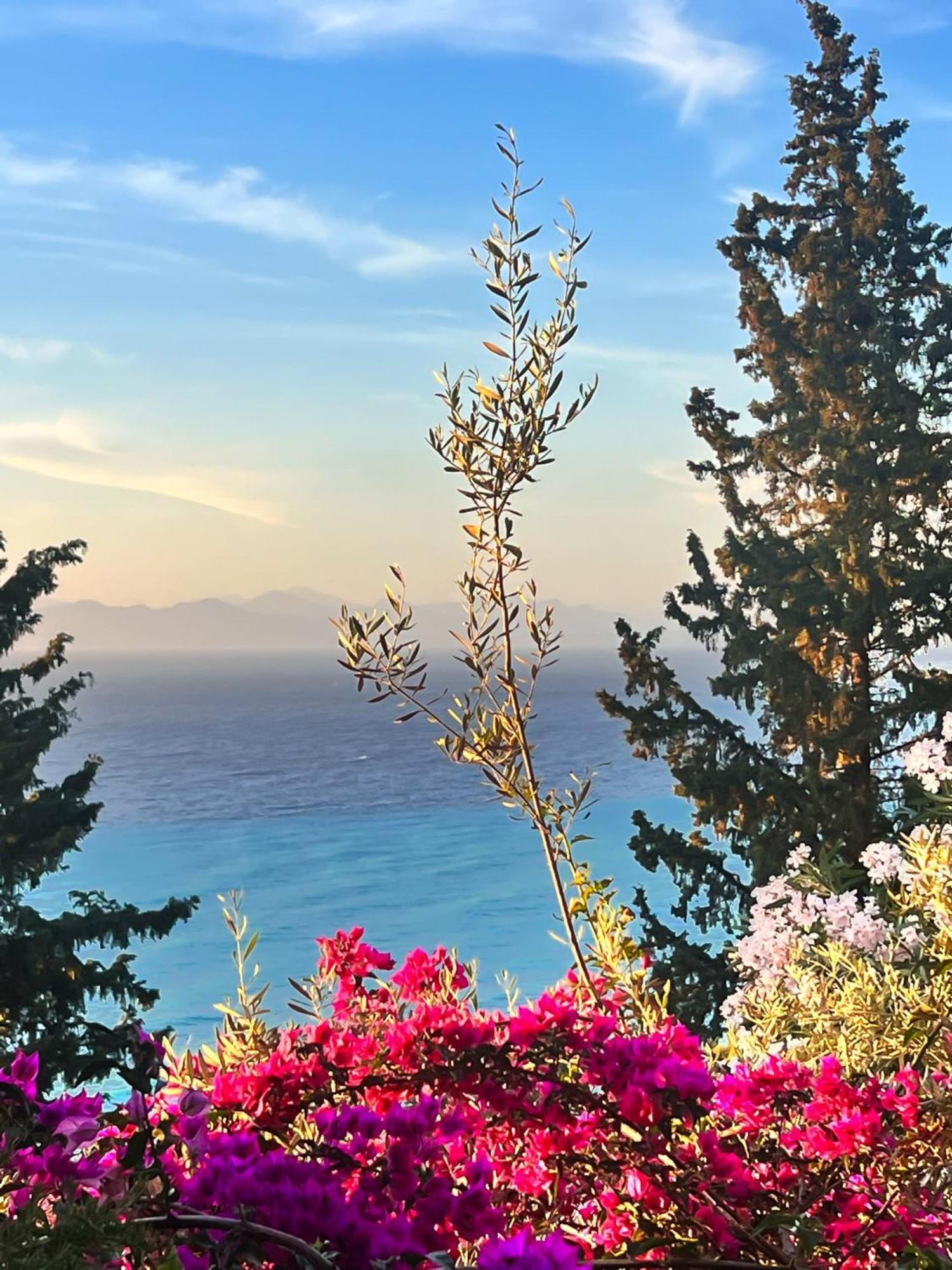 Myrto Homes Lefkada Agios Nikitas Greece المظهر الخارجي الصورة