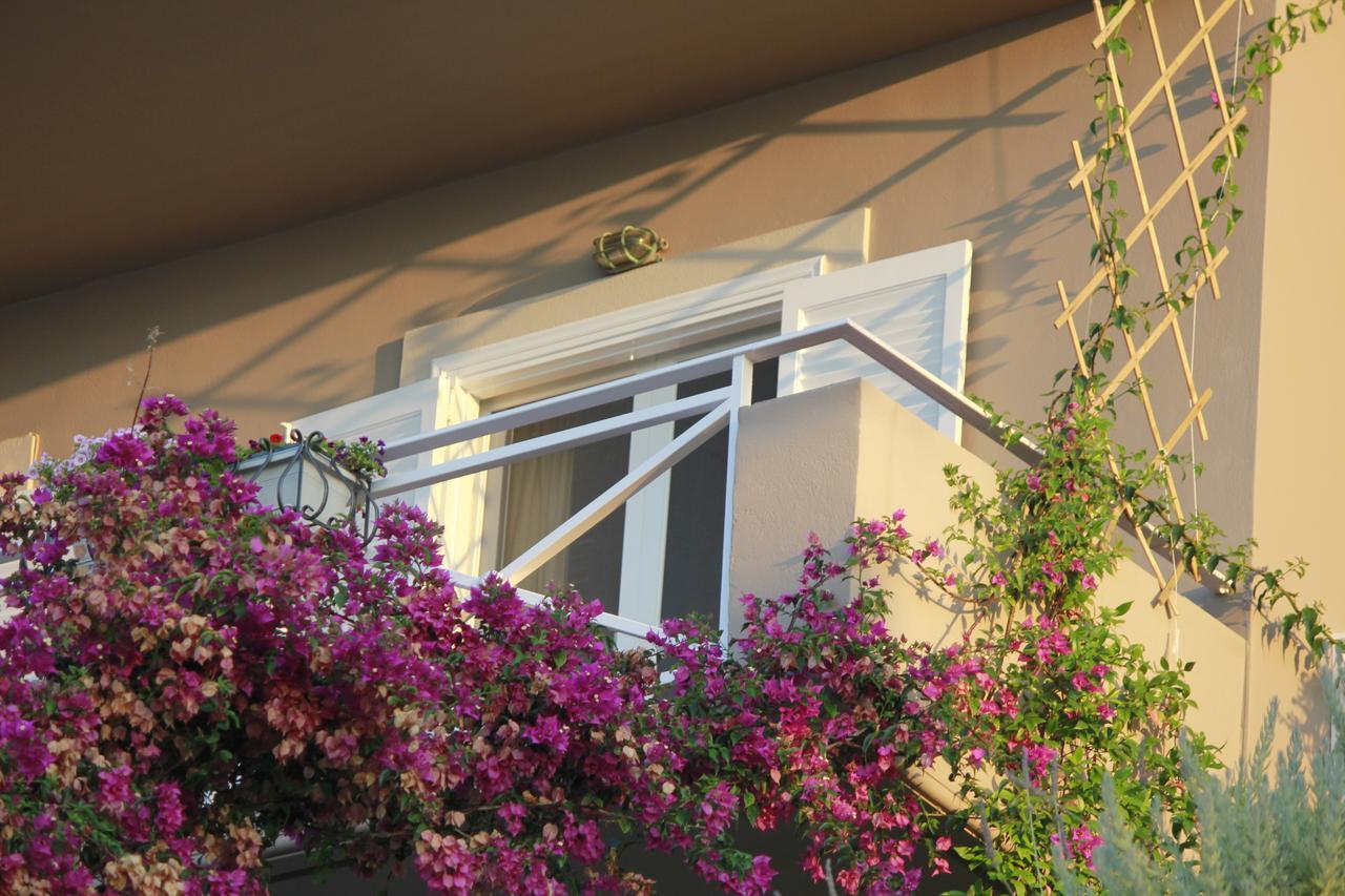 Myrto Homes Lefkada Agios Nikitas Greece المظهر الخارجي الصورة